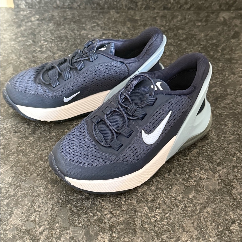 Nike Navy and White Running Shoes
